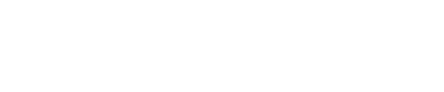 Finest Flights Logo